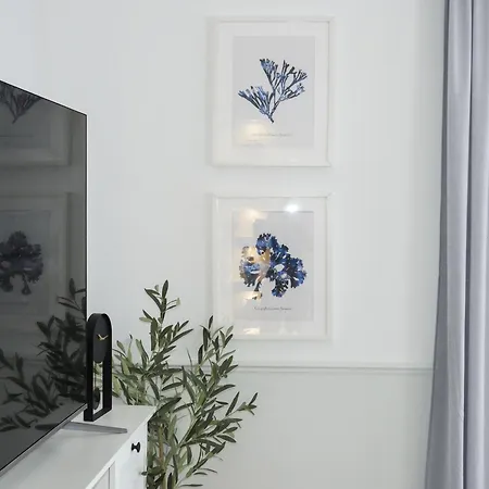 Apartment Ivo